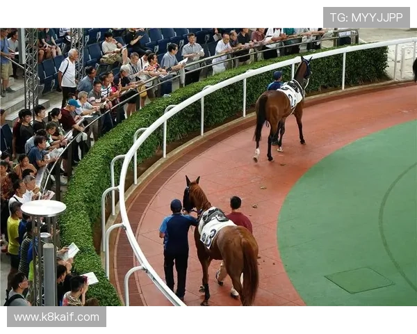 凯发网娱乐：最新赛事资讯与体育博彩攻略，助你把握每一次赢的机会